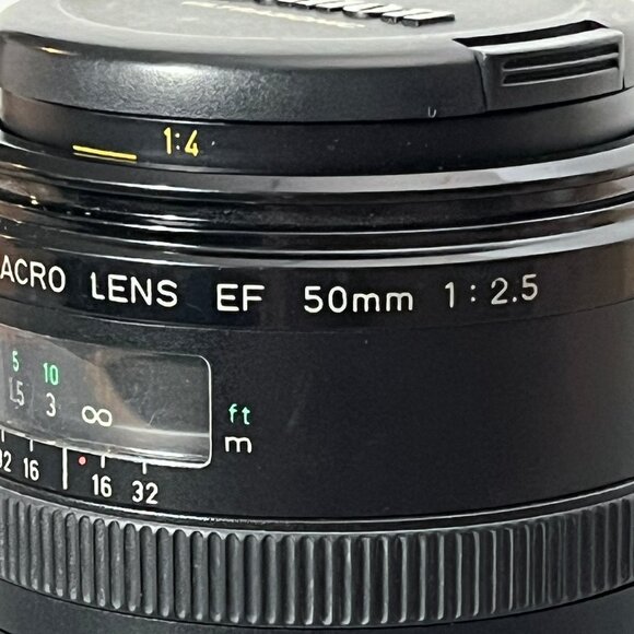 Canon EF 50mm f/2.5 Compact Macro Lens - Picture 3 of 10